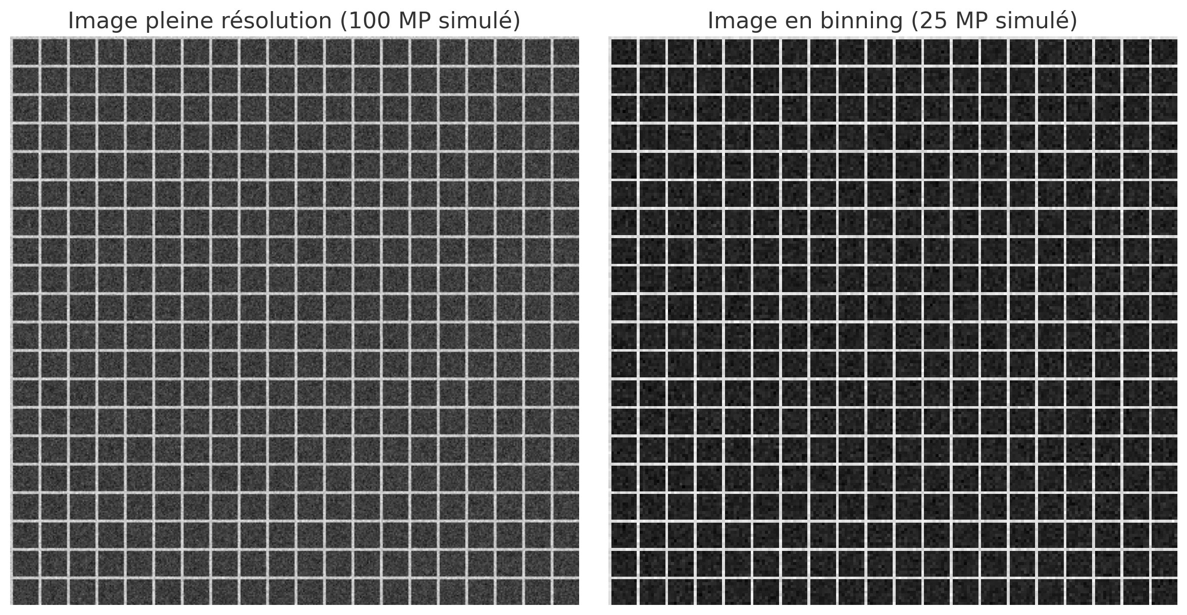 binning-vs-normal-photo-non-zoomée