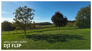 photo dji flip